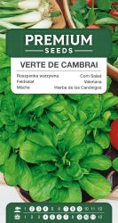 Corn Salad Verte De Cambrai Seed